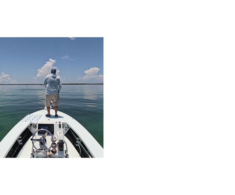 fly fishing for tarpon