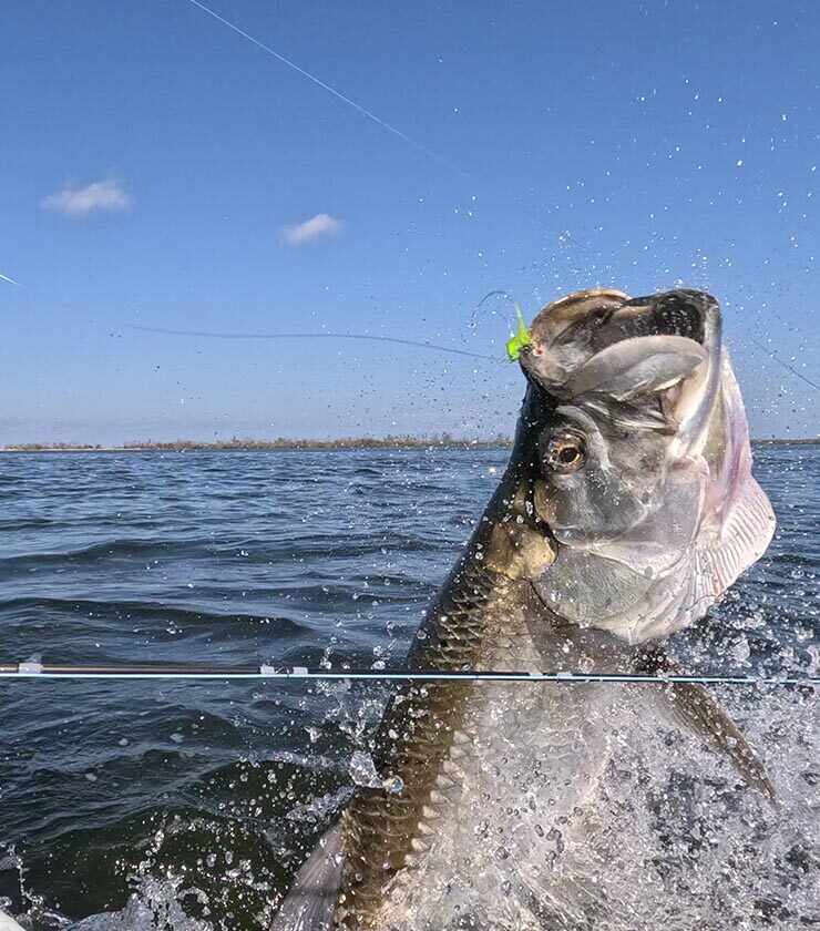 tarpon fishing