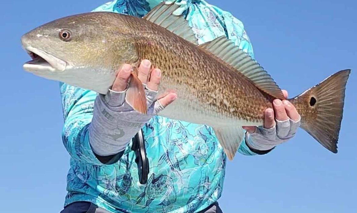 Gary Hix Fishing Gallery (28)